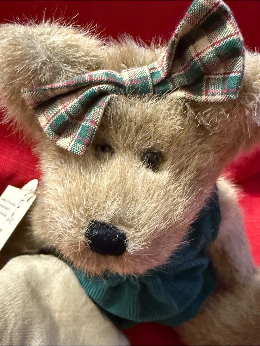 Boyds Bears & Friends 